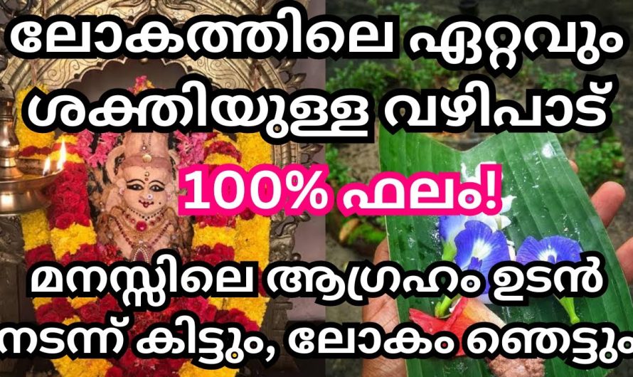 ലോകത്തിലെ ഏറ്റവും ശക്തിയുള്ള വഴിപാട്‌ ഇത്. മനസ്സിലെ എത്ര വലിയ ആഗ്രഹവും ഉടൻ നടക്കും