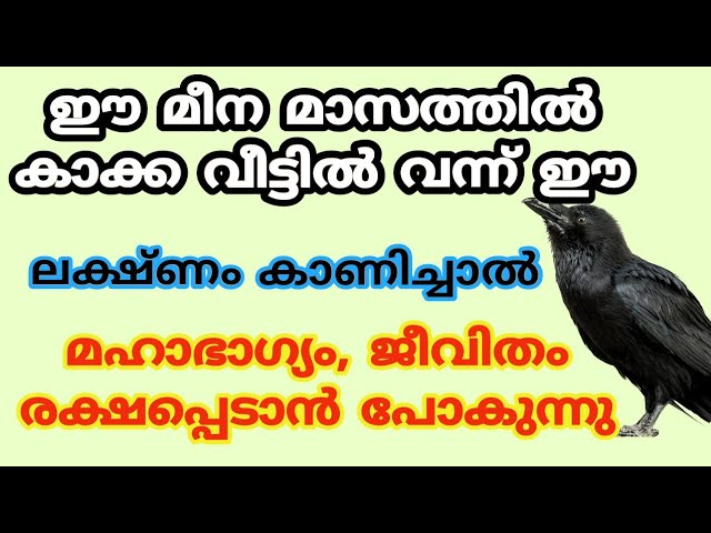 ഈ മീന മാസത്തിൽ കാക്ക വീട്ടിൽ വന്ന് ഈ ലക്ഷ്ണം കാണിച്ചാൽ..