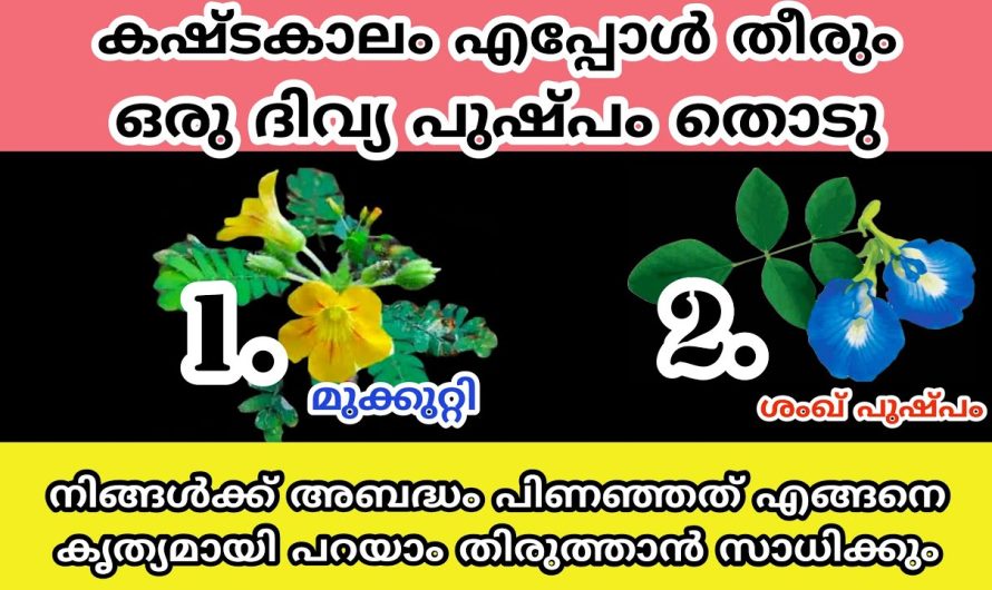 അതീവ രഹസ്യം ഒളിഞ്ഞ് ഇരിക്കുന്നു അറിയാതെ പോകരുത് വലിയ നഷ്ടം..