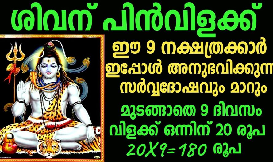 ശിവഭഗവാന് 9 ദിവസവും പിൻവളക്ക് ഈ പറയുന്ന രീതിയിൽ ചെയ്യൂ ഐശ്വര്യം സമ്പത്തും കൊതിച്ചു വരും