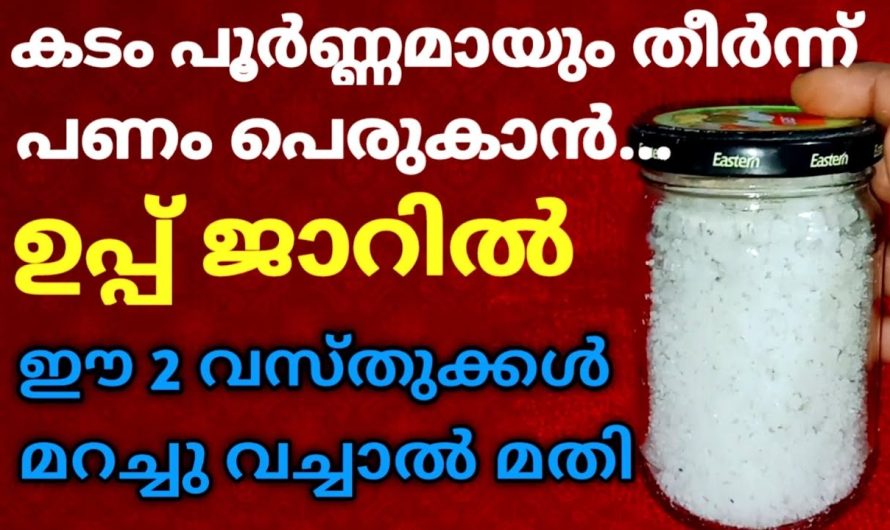 കടം പൂർണ്ണമായും തീർന്ന് പണം വരാൻ… ഉപ്പ് ജാറിൽ ഈ 2 വസ്തുക്കൾ മറച്ചു വച്ചാൽ മതി