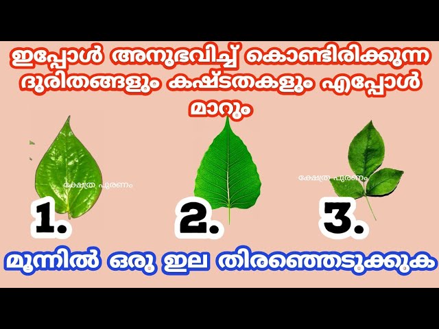 ദൈവാനുഗ്രഹത്താൽ ഉടനെ തന്നെ ഈ ഒരു കാര്യം നിങ്ങളിൽ സംഭവിക്കാൻ പോകുന്നു