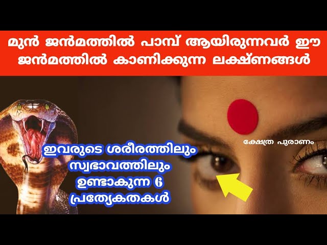 മുൻ ജൻമത്തിൽ പാമ്പ് ആയിരുന്നവർ ഈ ജൻമത്തിൽ കാണിക്കുന്ന ലക്ഷ്ണങ്ങൾ..