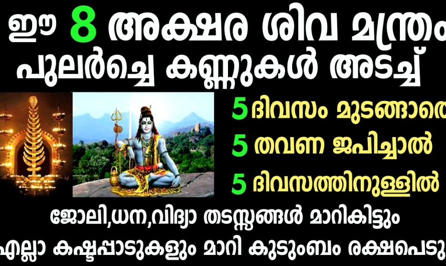 സൂര്യോദയത്തിനു മുൻപ് ഈ അഷ്ടാക്ഷര ശിവ മന്ത്രം ജപിച്ചാൽ അസാധ്യമായി ഒന്നുമില്ല