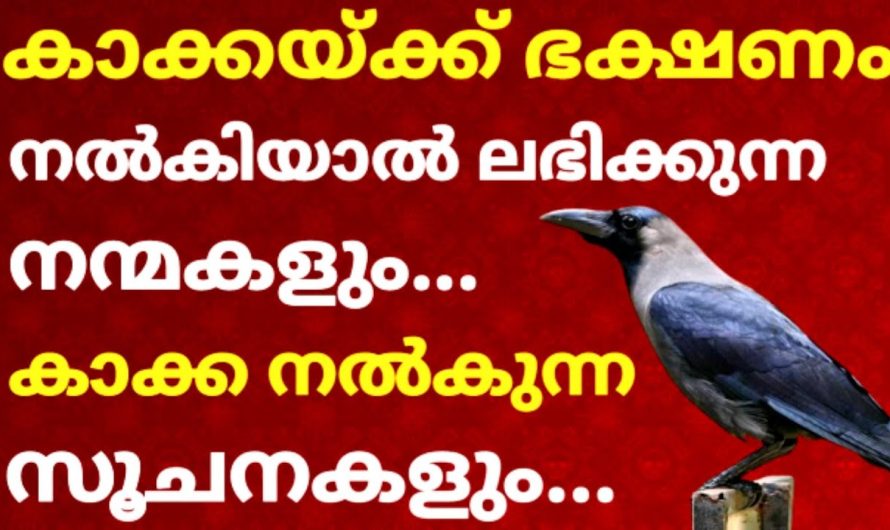 ഈ 1കാര്യം ചെയ്‌താൽ… നിങ്ങളുടെ കുടുംബം മുന്നേറികൊണ്ടേയിരിക്കും !!!