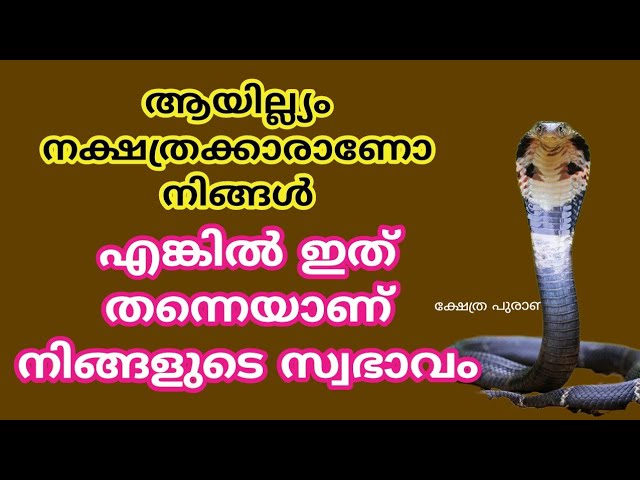 ആയില്യം നക്ഷത്രക്കാരുടെ രഹസ്യ സ്വഭാവങ്ങൾ അറിയാതെ പോകരുത്….