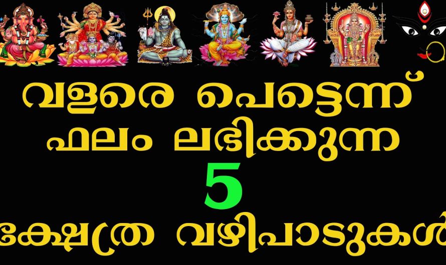 ചൈതന്യത്തെ തൊട്ടുണർത്തുന്ന ഈ വഴിപാടുകൾ പരമപുണ്യം