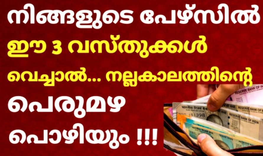 ഈ വസ്തുക്കൾ നിങ്ങളുടെ പേഴ്സിൽ വെച്ചാൽ !!! പണം പലമടങായി പെരുകും…