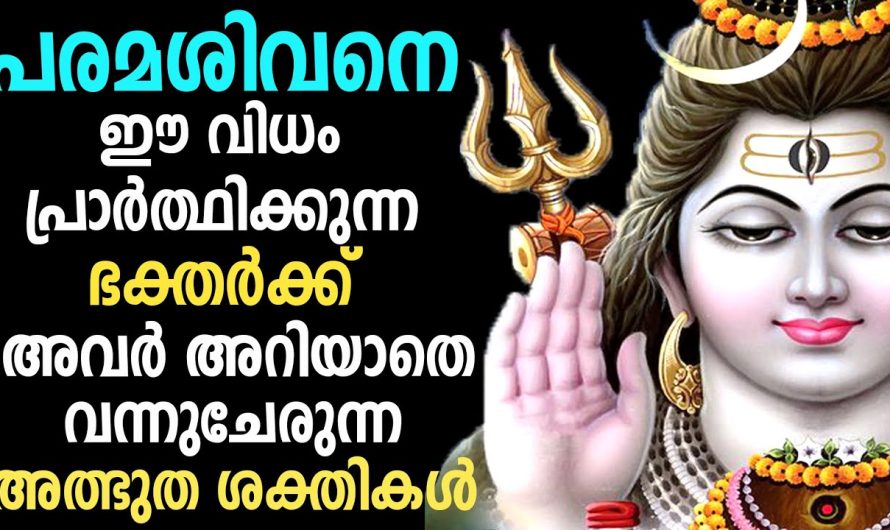 പരമശിവനെ ഈ വിധം പ്രാർത്ഥിക്കുന്ന ഭക്തർക്ക് അറിയാതെ വന്നുചേരുന്ന അത്ഭുത ശക്തികൾ