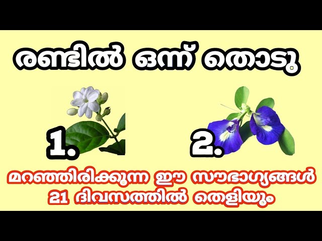 ഈ നക്ഷത്രക്കാർക്ക് സൗഭാഗ്യങ്ങൾ 21 ദിവസത്തിനുള്ളിൽ തെളിയും… തൊടുകുറി