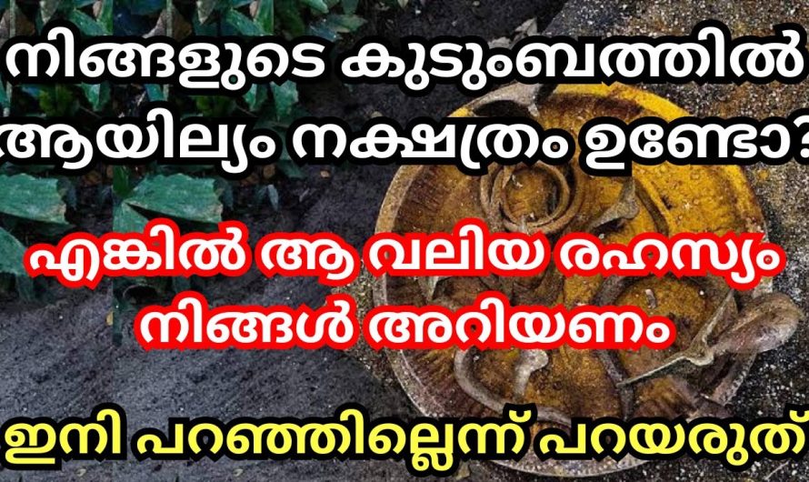 ഈ നാളുകൾ കുടുംബത്തിൽ ജനിച്ചാൽ ഇതൊക്കെ സംഭവിക്കും ഇനി അറിഞ്ഞില്ല എന്ന് പറയരുത്