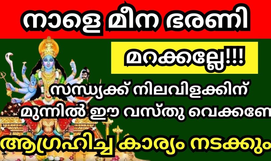 മീന ഭരണി ദിവസം സന്ധ്യയ്ക്ക് നിലവിളക്ക് കൊളുത്തുമ്പോൾ മുന്നിൽ ഈ വസ്തുവയ്ക്കണേ..മറക്കല്ലേ..