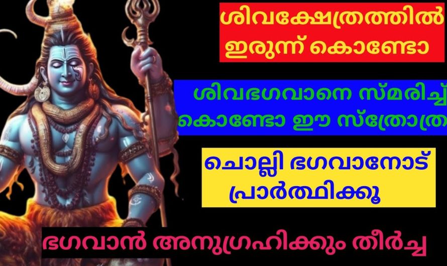 ശിവഭഗവാനെ സ്മരിച്ചുകൊണ്ട് ഈ സോസ്ത്രം ചൊല്ലു ഭഗവാൻ അനുഗ്രഹിക്കും