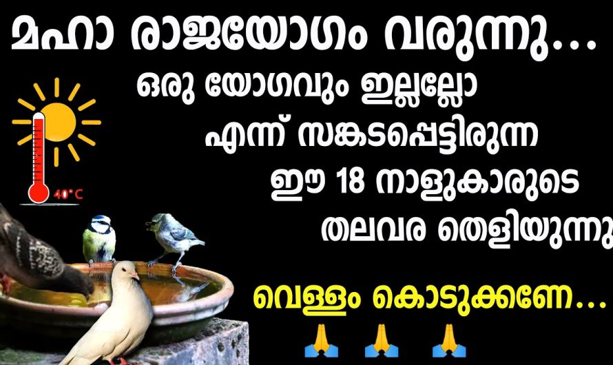 ഈ 18 നാളുകാരുടെ രണ്ടാം ജന്മം,മഹാരാജയോഗം എത്തുന്നു,