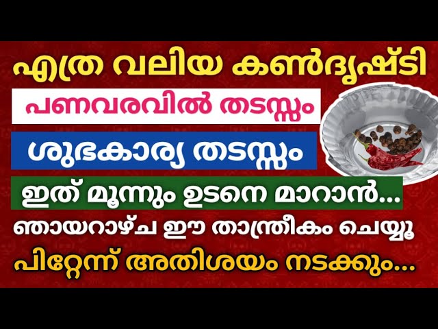 ശുഭകാര്യ തടസ്സങ്ങൾ മാറാൻ ഞായറാഴ്ച ഇത് മാത്രം ചെയ്യൂ…പിറ്റേന്ന് അതിശയം നടക്കും