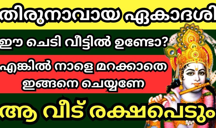 നാളെ ഈ ഒരു വസ്തു നിലവിളക്കിന്റെ മുന്നിൽ വെക്കാൻ മറക്കല്ലേ