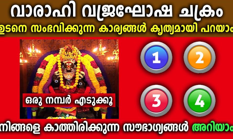 വിചാരിച്ച കാര്യം നടക്കുമോ ഇല്ലയോ,ചക്രം കൃത്യമായി പറയും