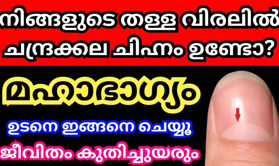 നിങ്ങളുടെ തള്ള വിരലിൽ ചന്ദ്രക്കല ചിഹ്നം ഉണ്ടോ? മഹാഭാഗ്യം,ഉടൻ ഇങ്ങനെ ചെയ്യൂ