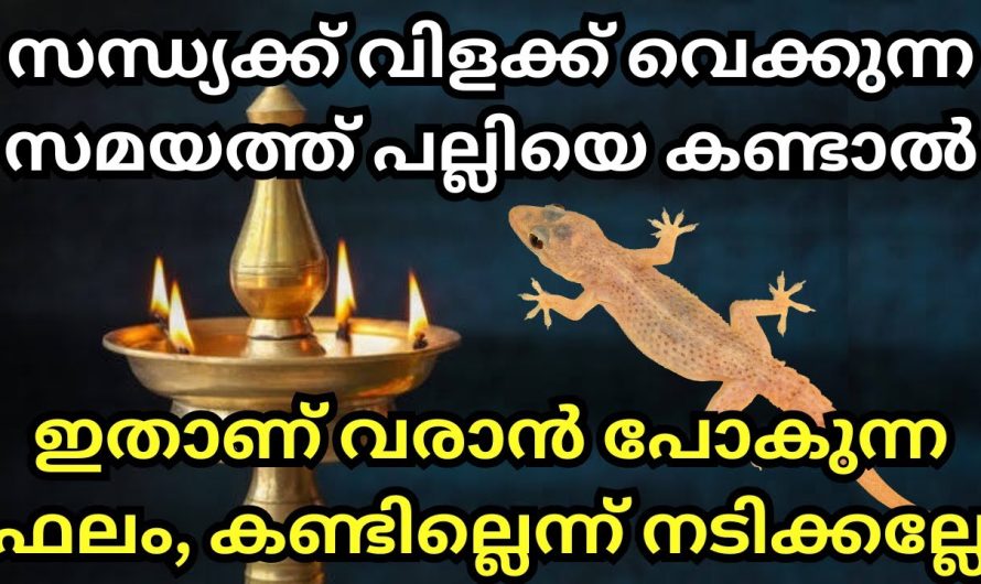 സന്ധ്യക്ക് വിളക്ക് വെക്കുന്ന സമയത്ത് പല്ലിയെ കണ്ടാൽ, ഇതാണ്‌ ഫലം, കണ്ടില്ലെന്ന് നടിക്കല്ലേ