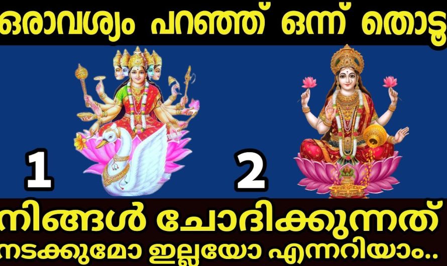 അമ്മ നിങ്ങളുടെ ആഗ്രഹങ്ങൾ നടത്തുമോ എന്നറിയാം.രണ്ടിൽ ഒന്ന് തൊടൂ