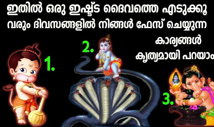 3ൽ ഒന്ന് തൊടു നിങ്ങളെ തേടി വരുന്ന സൗഭാഗ്യങ്ങൾ കൃത്യമായി അറിയാം