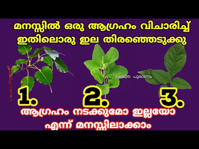 ആഗ്രഹം എത്ര ദിവസം കൊണ്ട് നടക്കും എന്ന് കൃത്യമായി മനസ്സിലാക്കാം.തൊടുകുറി ശാസ്ത്രം