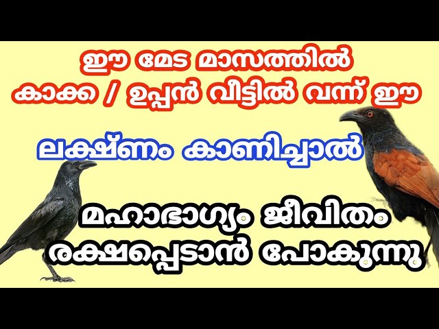 ഈ മേട മാസത്തിൽ കാക്ക / ഉപ്പൻ വീട്ടിൽ വന്ന് ഈ ലക്ഷണം കാണിച്ചാൽ..