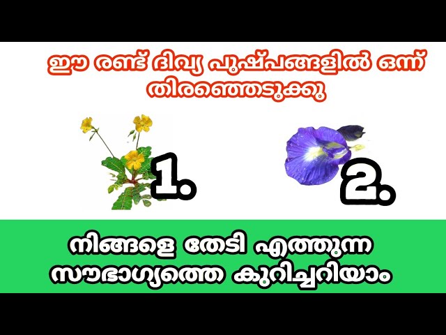 രണ്ടിലൊന്ന് തൊടു നിങ്ങളെ തേടിയെത്തുന്ന സൗഭാഗ്യത്തെ കുറിച്ച് അറിയാം….