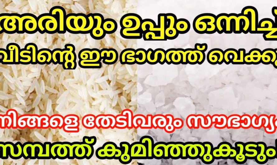 അരിയും ഉപ്പും ഒന്നിച്ചു വീടിന്റെ ഈ ഭാഗത്ത് വയ്ക്കൂ….. സമ്പത്ത് കുമിഞ്ഞു കൂടും….!