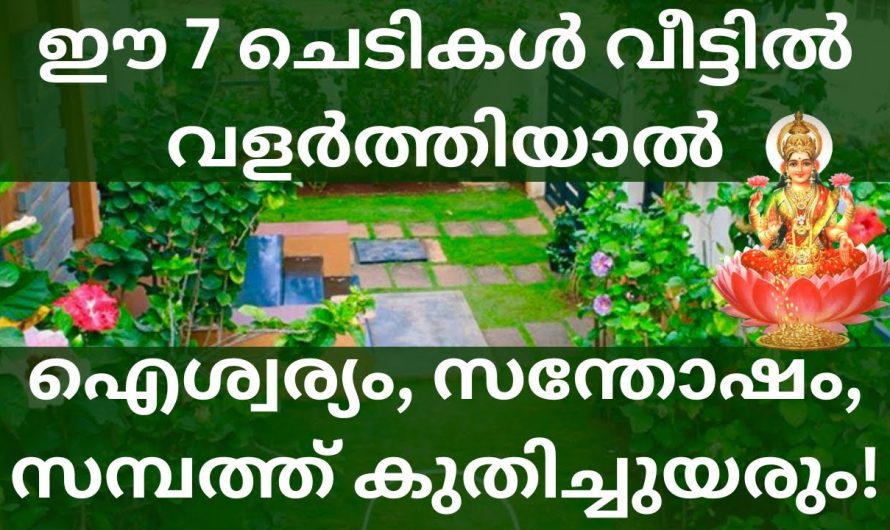 ഈ 7 ചെടികൾ വീട്ടിൽ വളർത്തിയാൽ ഐശ്വര്യം, സന്തോഷം, സമ്പത്ത് കുതിച്ചുയരും!