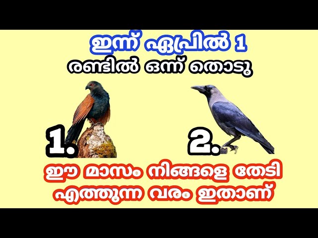 ഒരു ആവശ്യം പറഞ്ഞ് തുറക്കു നിങ്ങൾ ചോദിക്കുന്നത് നടക്കുമോ ഇല്ലയോ എന്ന് അറിയാം