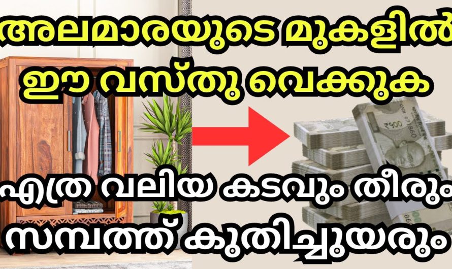 അലമാരയുടെ മുകളിൽ ഈ വസ്തു വെക്കുക, എത്ര വലിയ കടവും തീരും,