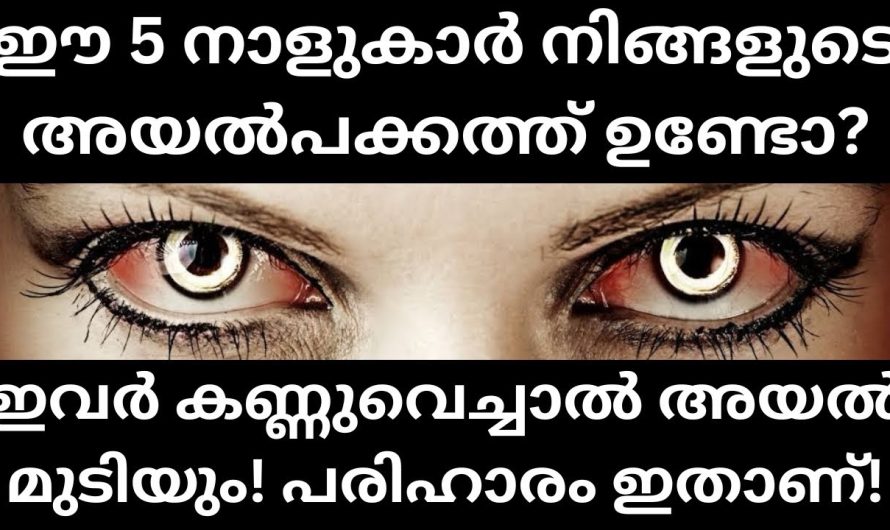 ഈ 5 നാളുകാർ  കണ്ണുവെച്ചാൽ അയൽ മുടിയും! പരിഹാരം ഉണ്ട്, ഇതാണ്…