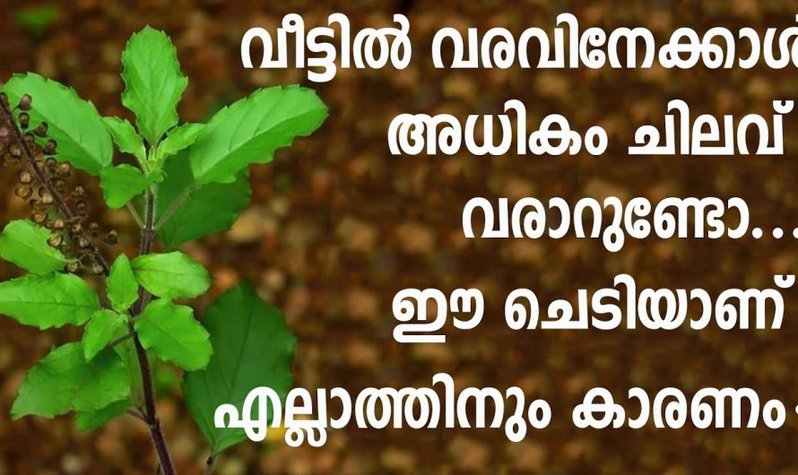 കുടുംബത്തിലെ സമാധാനവും സന്തോഷവും വർദ്ധിപ്പിക്കാൻ വേണ്ടി വീട്ടിൽ ചെയ്യേണ്ട ഒരു പരിഹാരം…