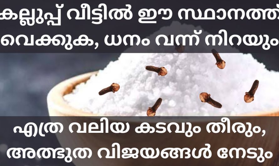 കടം കേറി പൊറുതിമുട്ടുന്നവരാണോ നിങ്ങൾ?? ഇങ്ങനെ ചെയ്തു നോക്കൂ എത്ര വലിയ കടവും തീരും…