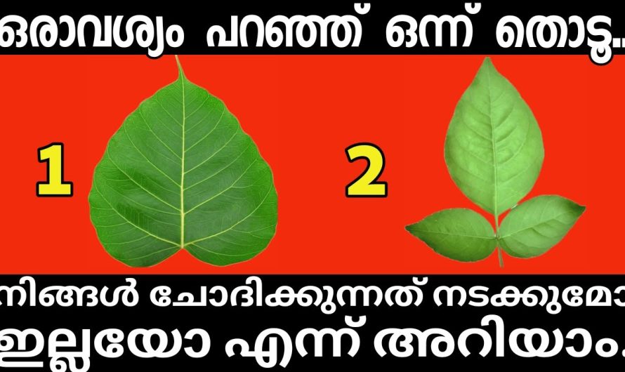 ആഗ്രഹിക്കുന്ന കാര്യം നടക്കുമോ എന്നറിയാൻ ഒരു ചിത്രം തിരഞ്ഞെടുക്കൂ..