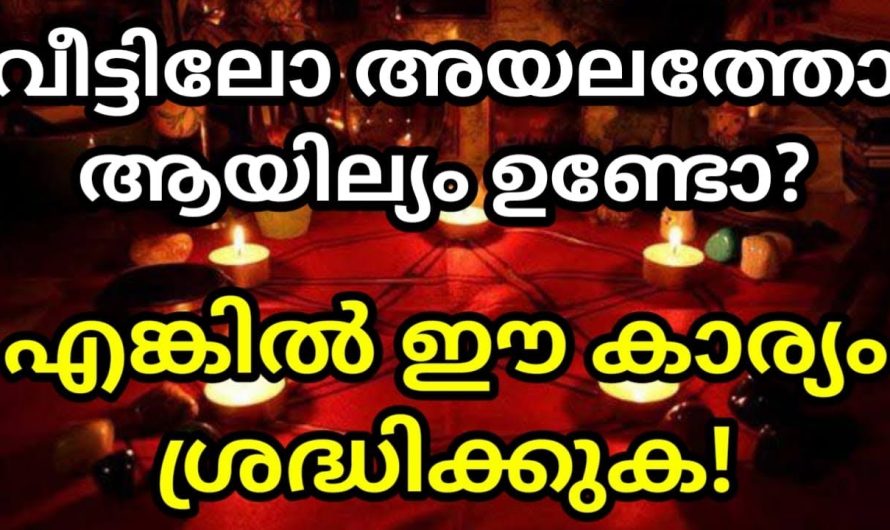 വീട്ടിലോ അയലത്തോ ആയില്യം നാളുകാർ ഉണ്ടോ? എങ്കിൽ ഈ 2 കാര്യം ശ്രദ്ധിക്കുക