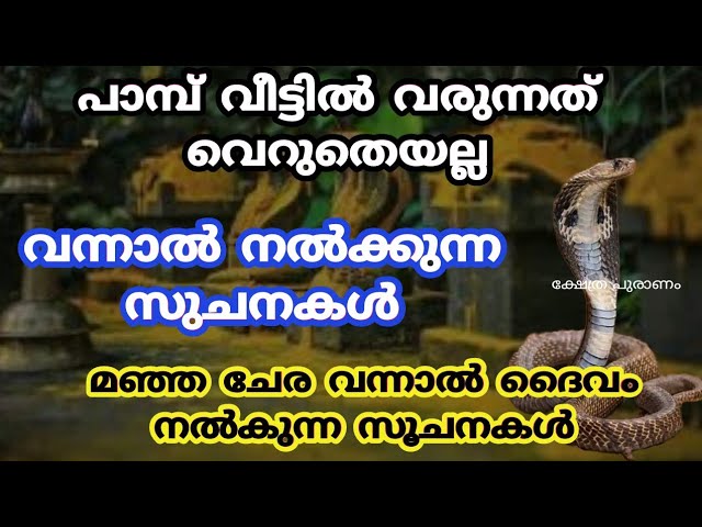 പാമ്പിനെ വീട്ടിലോ പരിസരത്ത് കണ്ടാൽ ഉള്ള ഫലങ്ങൾ ശ്രദ്ധിക്കുക…