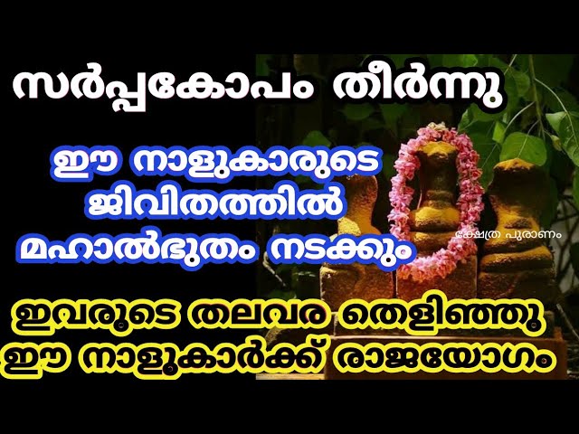 സർപ്പകോപം തീർന്നു , നാഗങ്ങൾ രാജയോഗം നൽക്കി അനുഗ്രിച്ച നാളുകാർ