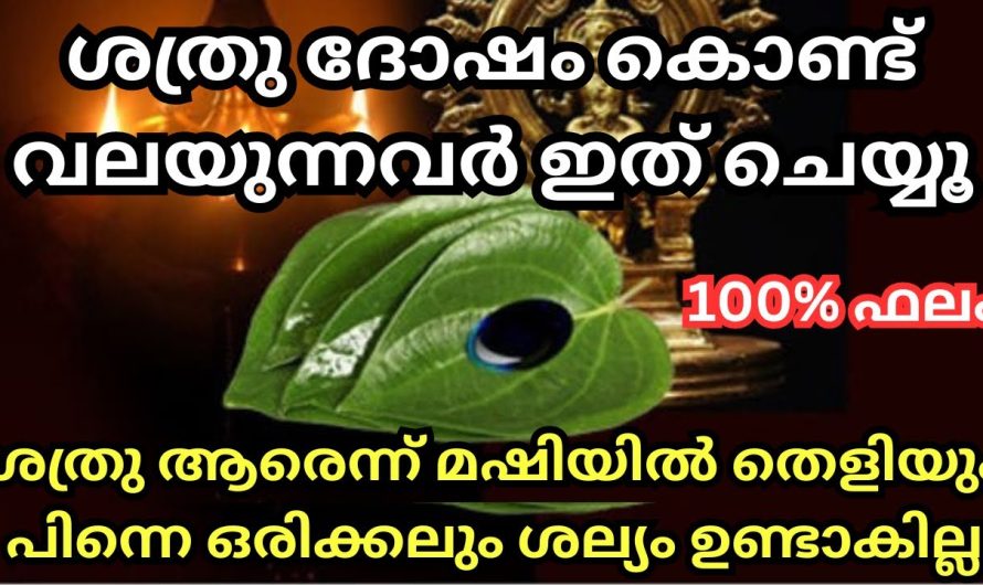 ശത്രു ദോഷം കൊണ്ട് വലയുന്നവർ ഇത് ചെയ്യൂ,  മഷിയിൽ തെളിയും, പിന്നെ ശല്യം ഉണ്ടാകില്ല