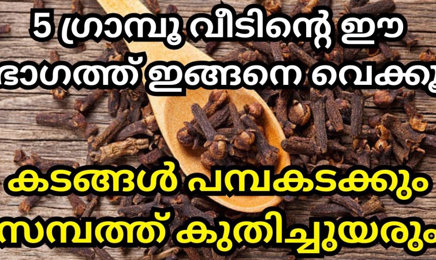 5 ഗ്രാമ്പൂ വീടിന്റെ ഈ ഭാഗത്ത് ഇങ്ങനെ വെക്കൂ, കടങ്ങൾ പമ്പകടക്കും,