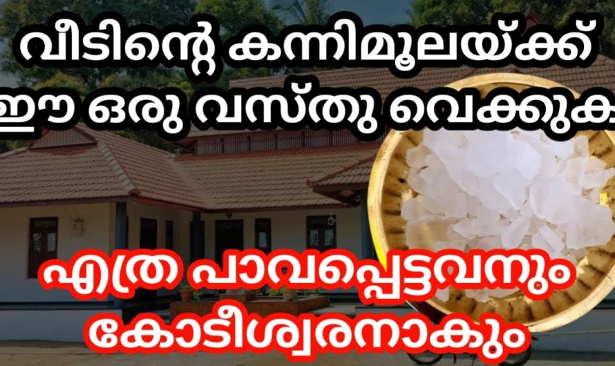 എത്ര പാവപ്പെട്ടവനും കോടീശ്വരനാകും വീടിന്റെ കന്നിമൂലയ്ക്ക് ഈ ഒരു വസ്തു വെക്കൂ,