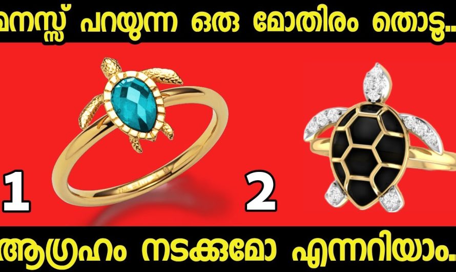 മനസ്സ് പറയുന്ന ഒരു ചിത്രം തൊടൂ..നിങ്ങൾക്ക് വരാൻ പോകുന്ന ഭാഗ്യങ്ങൾ അറിയാം.