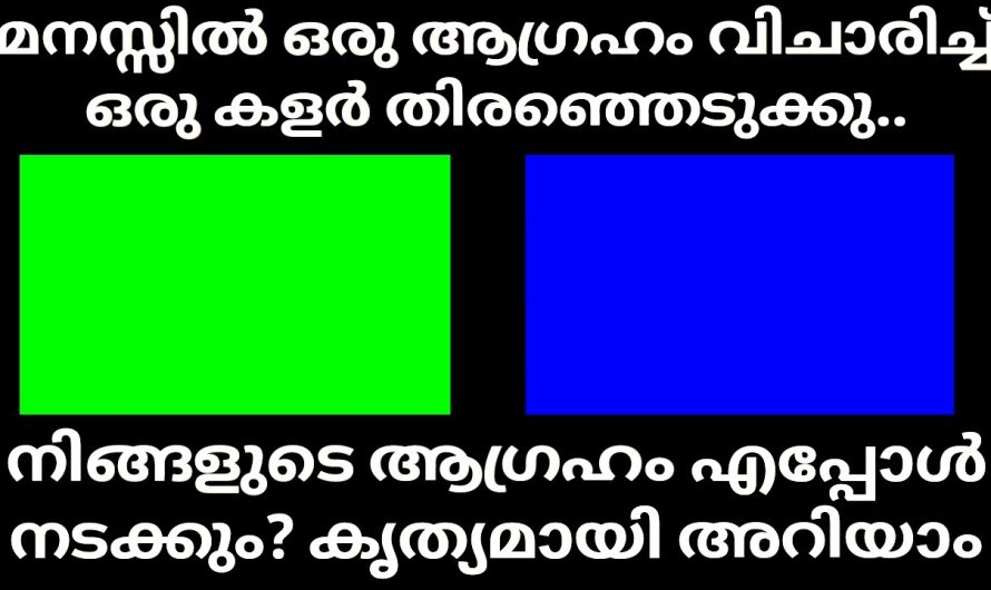 മനസ്സ് പറയുന്ന ഒരു ചിത്രം തൊടൂ..നിങ്ങൾക്ക് വരാൻ പോകുന്ന ഭാഗ്യങ്ങൾ അറിയാം.