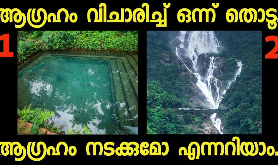 മനസ്സ് പറയുന്ന ഒരു ചിത്രം തൊടൂ..നിങ്ങൾക്ക് വരാൻ പോകുന്ന ഭാഗ്യങ്ങൾ അറിയാം.