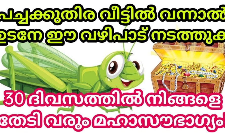 പച്ചക്കുതിര വീട്ടിൽ വന്നാൽ ഇങ്ങനെ ഒന്ന് പ്രാർത്ഥിച്ച് നോക്കിക്കേ – 30 ദിവസത്തിൽ മഹാഭാഗ്യം തേടി വരും