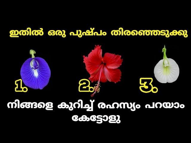 ഇതിൽ ഒരു പുഷ്പം തിരഞ്ഞെടുക്കു നിങ്ങളെ കുറിച്ച് രഹസ്യം പറയാം കേട്ടോളു