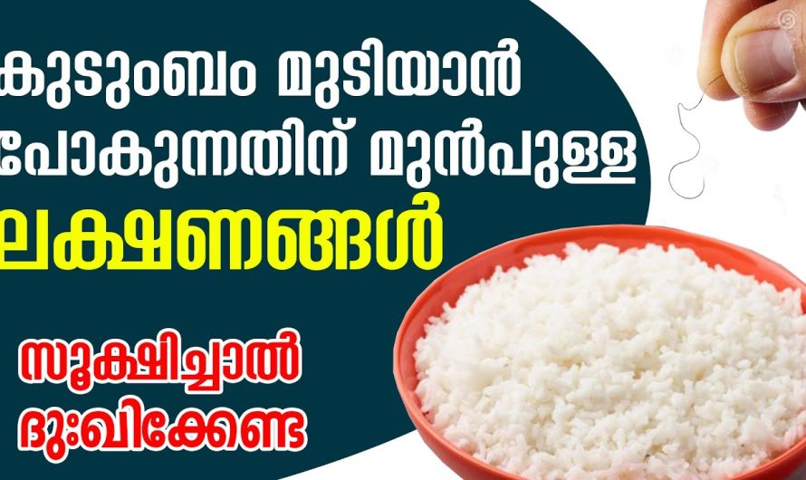 ഇതൊക്കെ നിങ്ങടെ വീടുകളിലും സംഭവിക്കാറുണ്ടോ? കുടുംബം മുടിയാനുള്ള പ്രധാന കാരണം