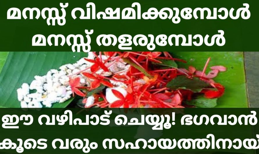 മനസ്സ് ഒരുപാട് വിഷമിക്കുമ്പോൾ, തളർന്ന് പോകുമ്പോൾ, വഴിമുട്ടുമ്പോൾ ഈ വഴിപാട്‌ ചെയ്യൂ, ഉടനടി ഫലം!