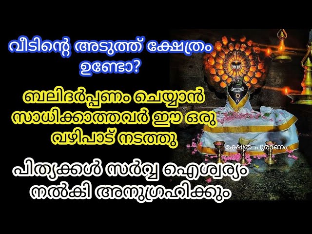 നാളെ ഈ വഴിപാട് നടത്തിയാൽ സർവ്വ ഐശ്വര്യം നൽകി പിത്യക്കൾ അനുഗ്രഹിക്കും.